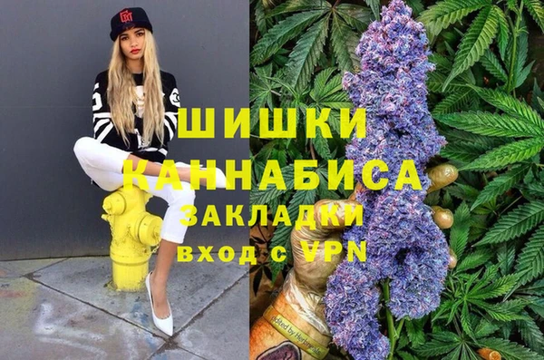 стафф Горнозаводск
