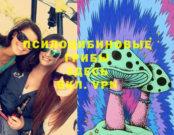 стафф Горнозаводск
