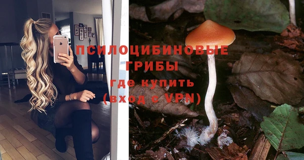 стафф Горнозаводск