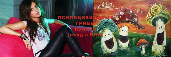 стафф Горнозаводск